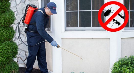 Doğankent Tahtakurusu İlaçlama böcek ilaçlama ve haşere kontrolü — ilaclama-tr.com
